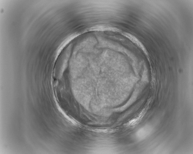 X0000059840855200511181511