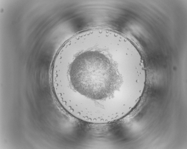 X0000059840856200511181511