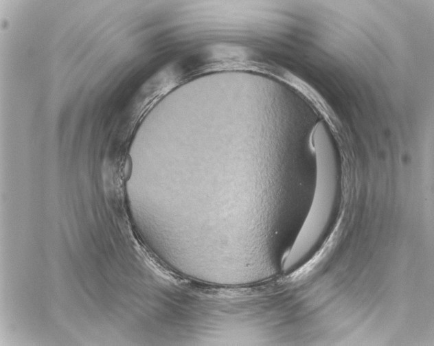 X0000059840857200511181511