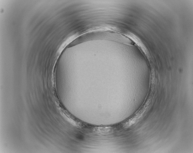 X0000059840858200511181511