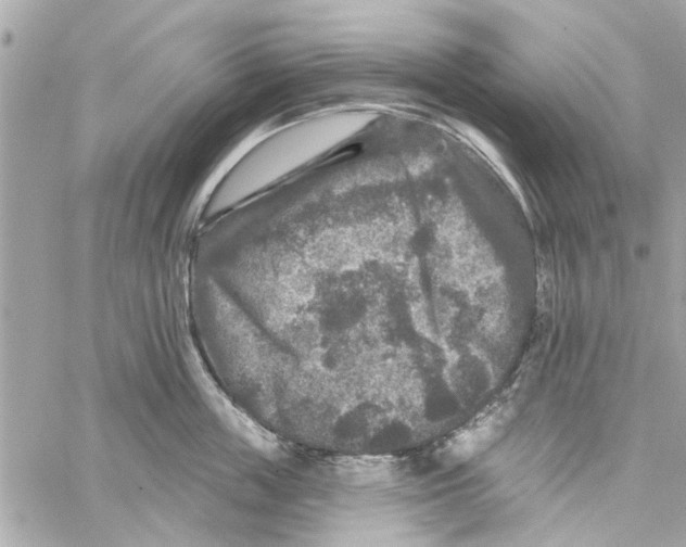 X0000059840859200511181511