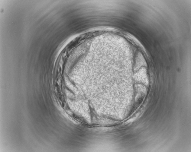 X0000059840860200511181511