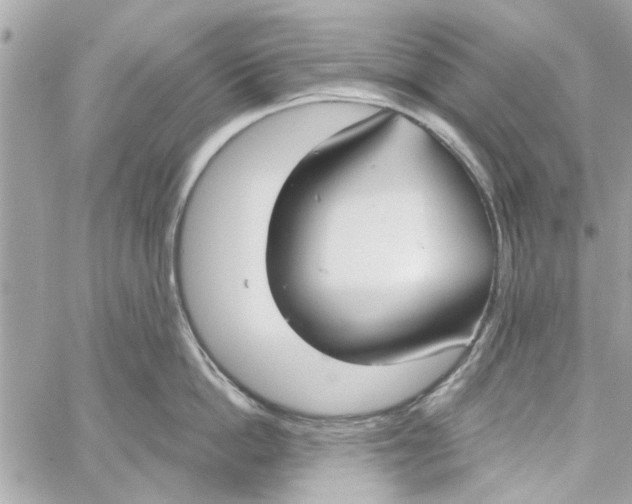 X0000059840862200511181511