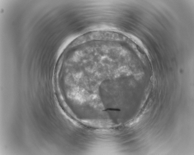 X0000059840863200511181511