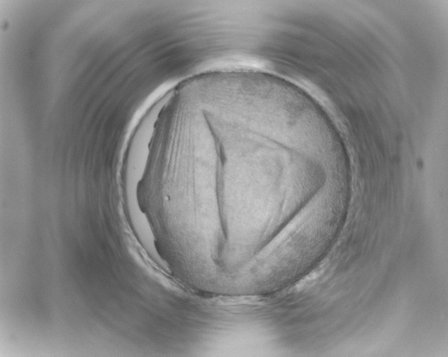 X0000059840864200511181511