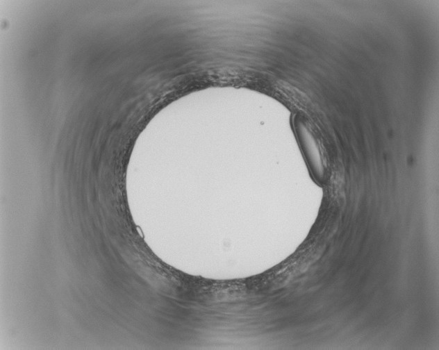 X0000059840865200511181510