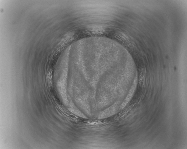 X0000059840866200511181510