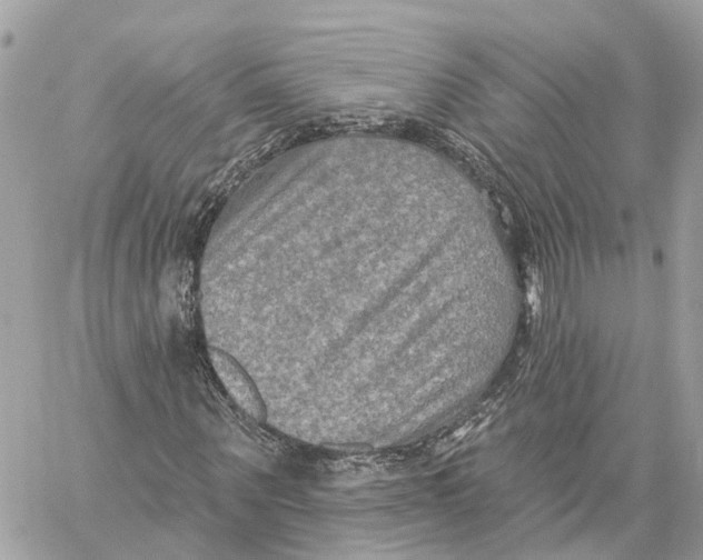 X0000059840867200511181510