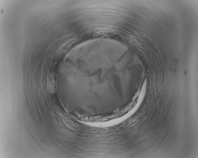 X0000059840868200511181510