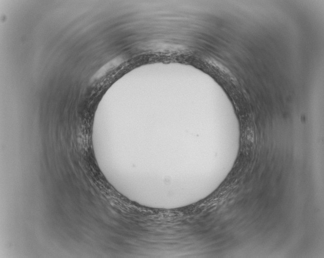 X0000059840869200511181510