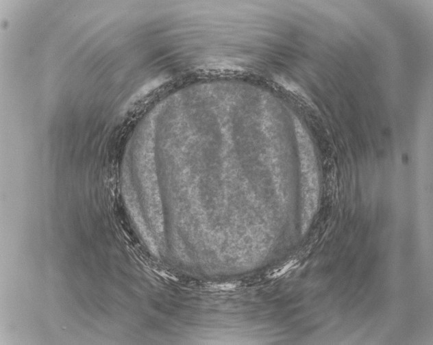 X0000059840870200511181510