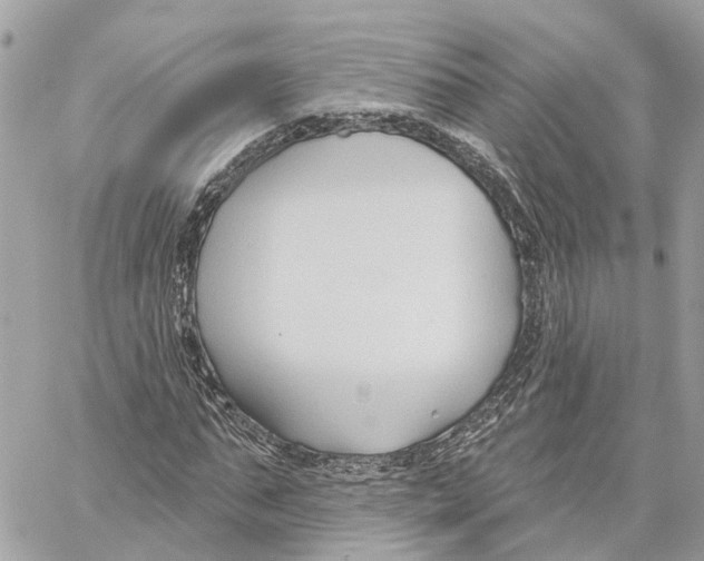 X0000059840871200511181510