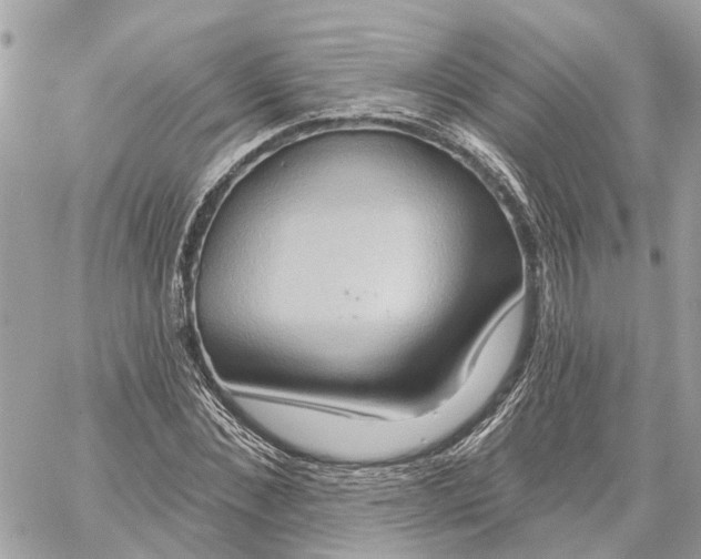 X0000059840876200511181510