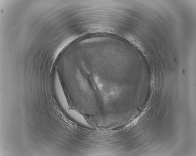 X0000059840877200511181510