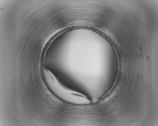 X0000059840880200511181510