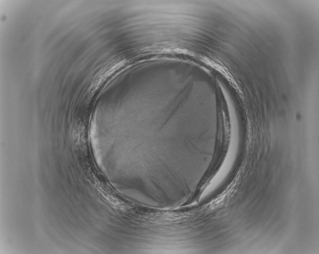 X0000059840881200511181510