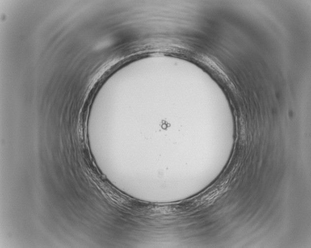 X0000059840883200511181510