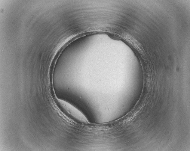 X0000059840884200511181510