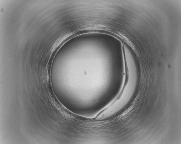 X0000059840885200511181510