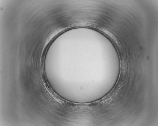 X0000059840886200511181510