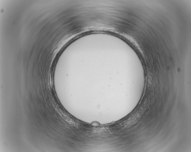 X0000059840887200511181510