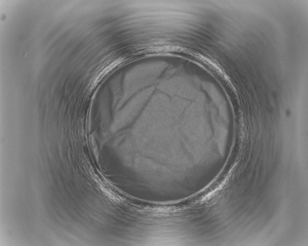 X0000059840889200511181510