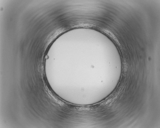 X0000059840890200511181510