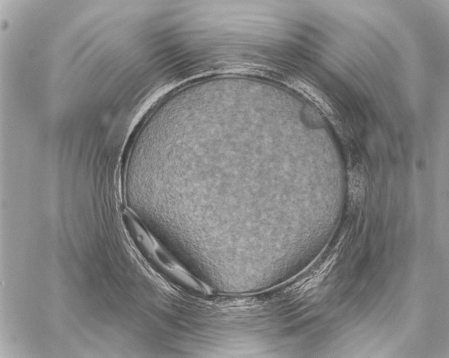 X0000059840891200511181510