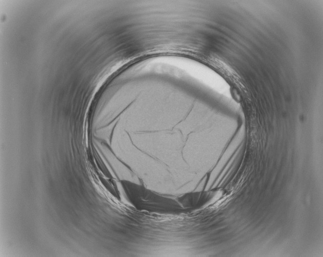 X0000059840892200511181510