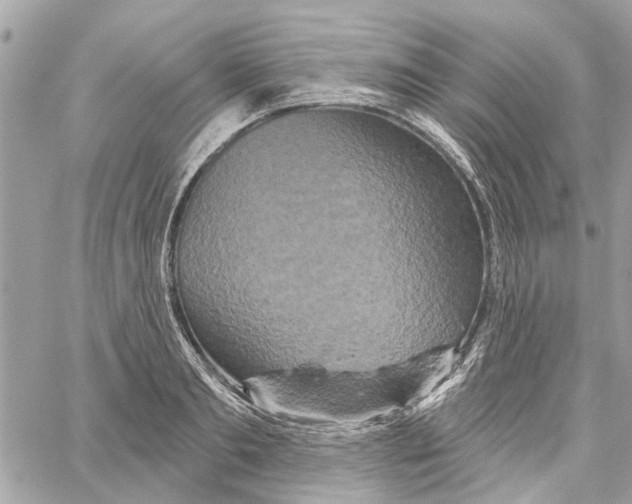 X0000059840893200511181510