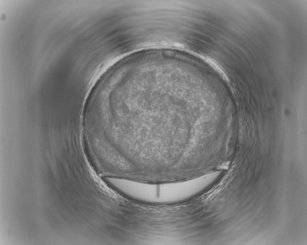 X0000059840895200511181510