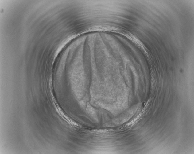 X0000059840896200511181510