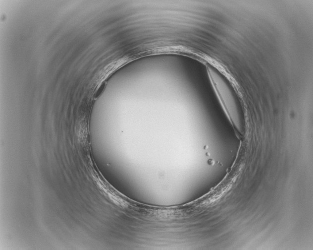 X0000059840897200511181510