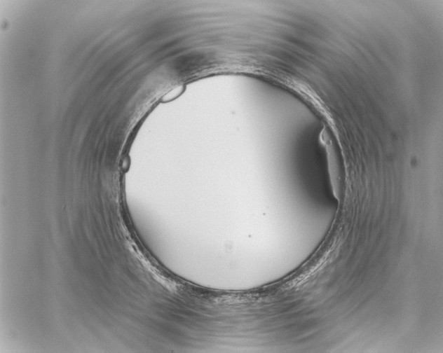 X0000059840898200511181510