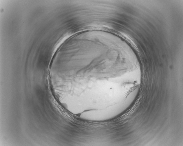 X0000059840899200511181510