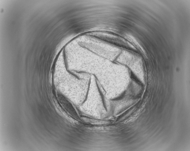 X0000059840900200511181510