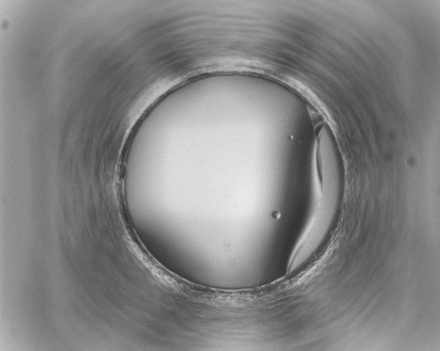 X0000059840901200511181510