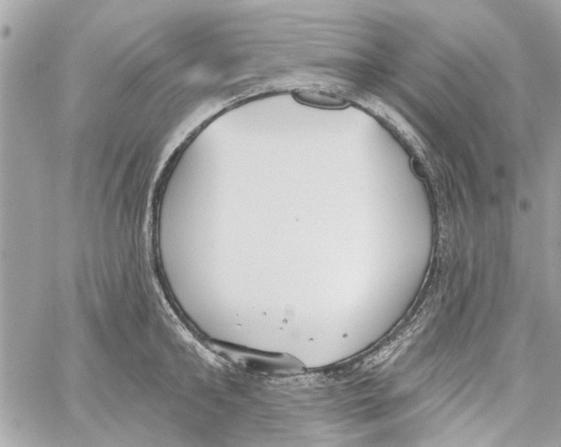 X0000059840902200511181510