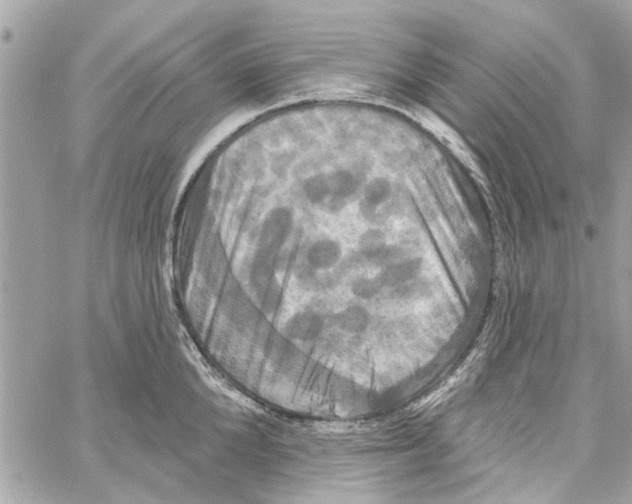 X0000059840904200511181510