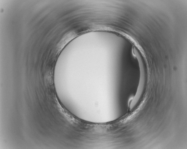 X0000059840905200511181510