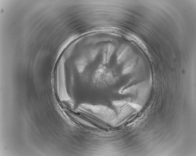 X0000059840907200511181510