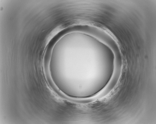 X0000059840909200511181510