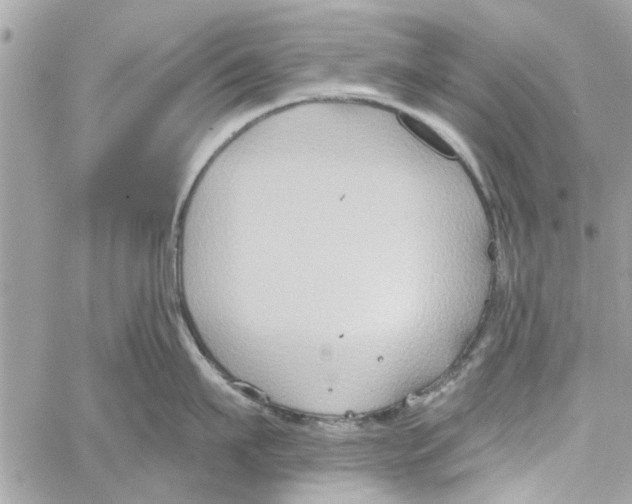 X0000059840911200511181510