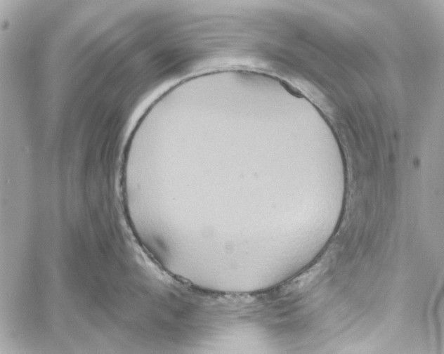 X0000059840912200511181510