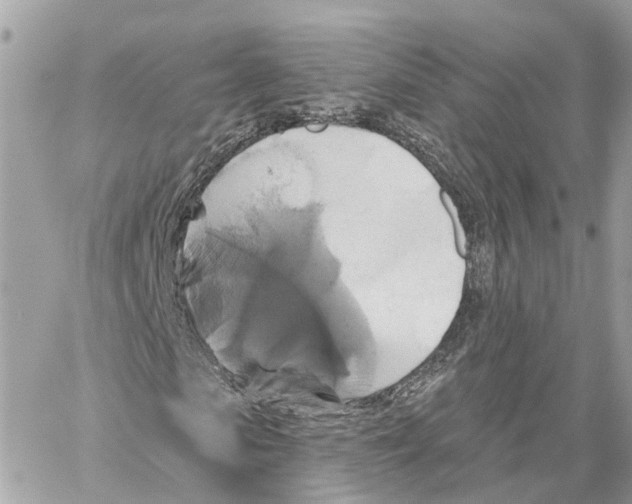 X0000059840913200511181509