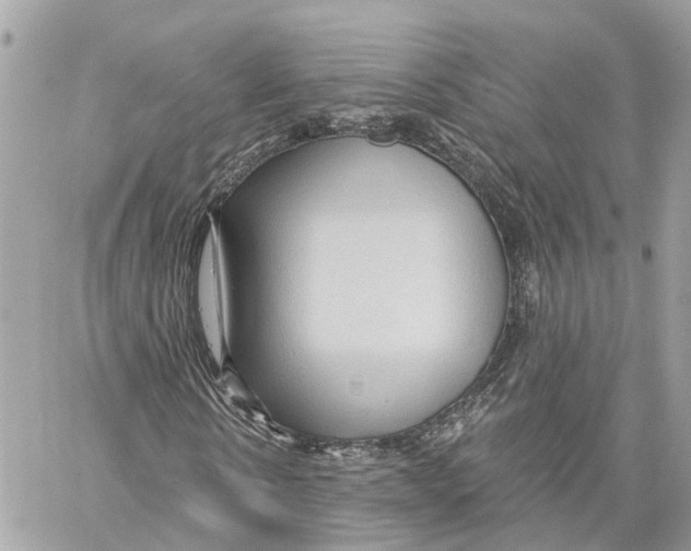 X0000059840914200511181509