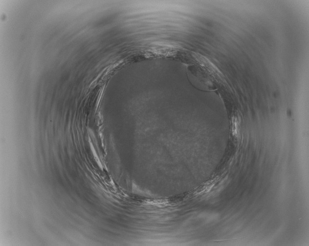 X0000059840915200511181509