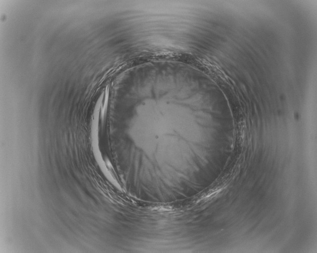 X0000059840916200511181509