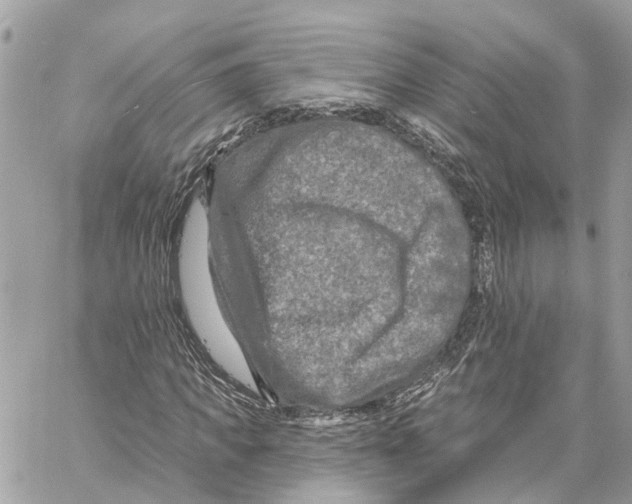 X0000059840917200511181509