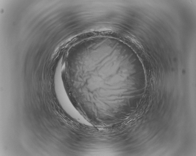 X0000059840920200511181509